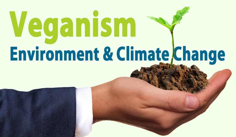 Does Being Vegan Contribute to a Better Environment?