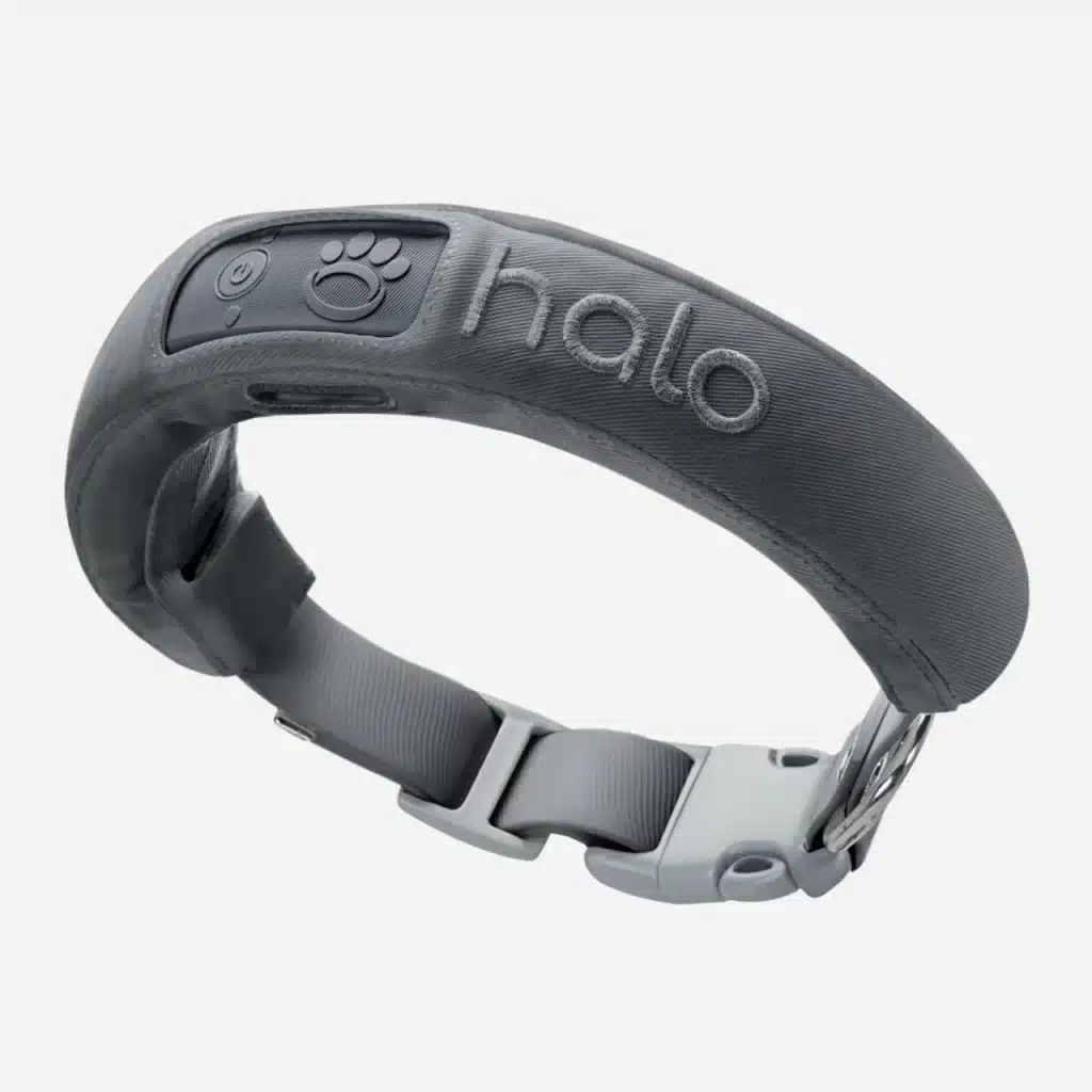 Halo Dog Shock Collar