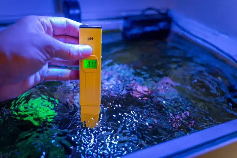 How Often Should You Check the pH of Your Aquarium?