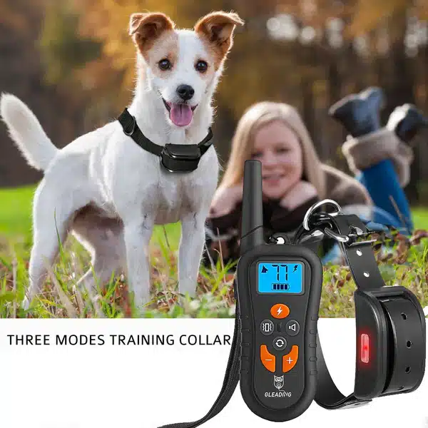 How to Properly Train a Dog with a Shock Collar