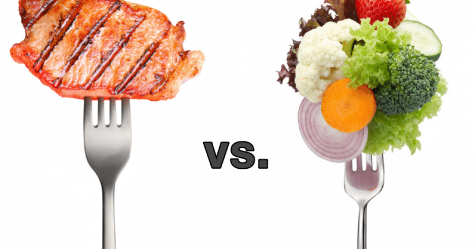 Vegan vs Non-Vegan