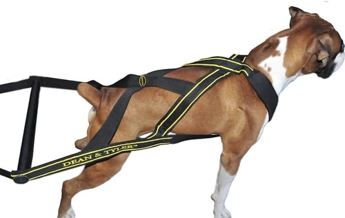 Weight-Pulling Harness