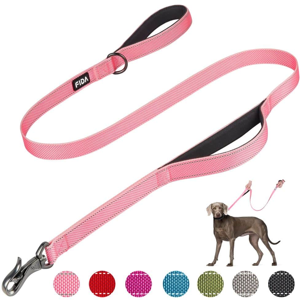 What Is the Best Dog Running Leash Length?