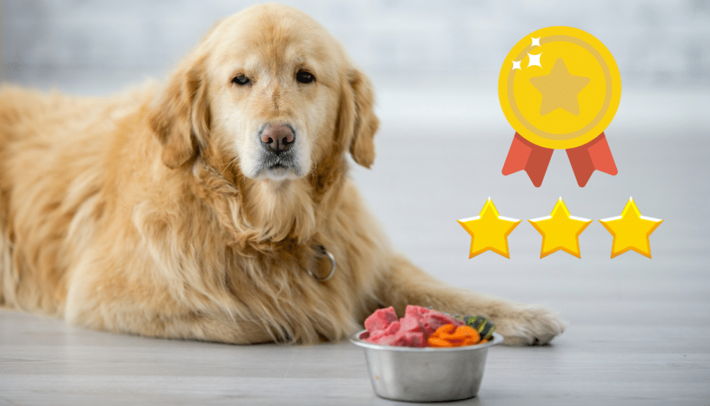 Amazing Soft Dog Food for Senior Dogs