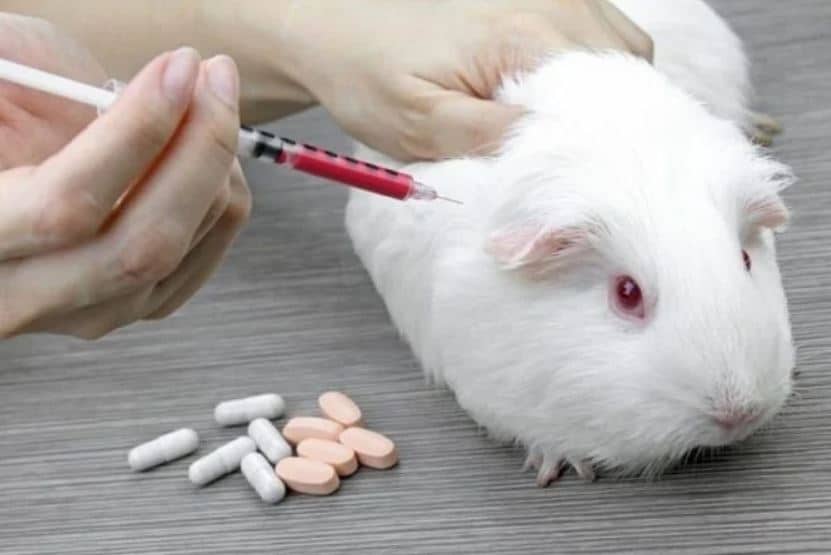 Animal Testing is Archaic