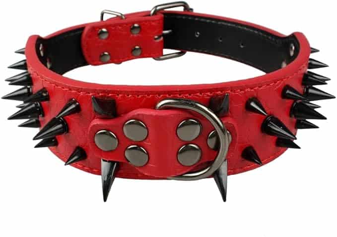 Berry Pet Sharp Spiked Studded Dog Collar