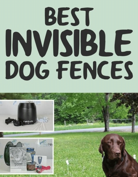 Best Adjustable Invisible Dog Fences