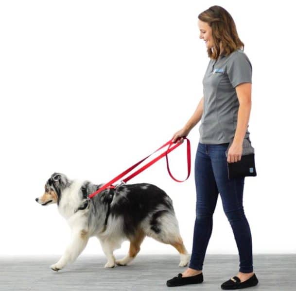 Blue9 Multifunctional Leash