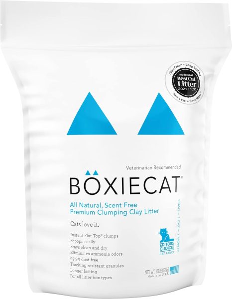 Boxiecat