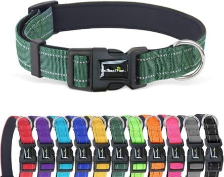 Brilliant Paw Reflective Dog Collar