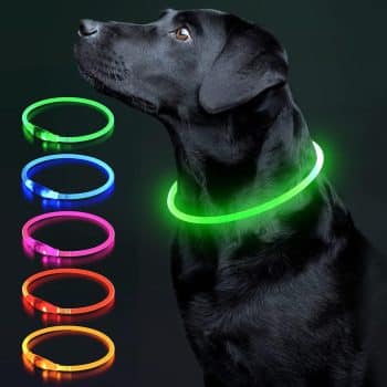 Colaseeme LED Dog Collar