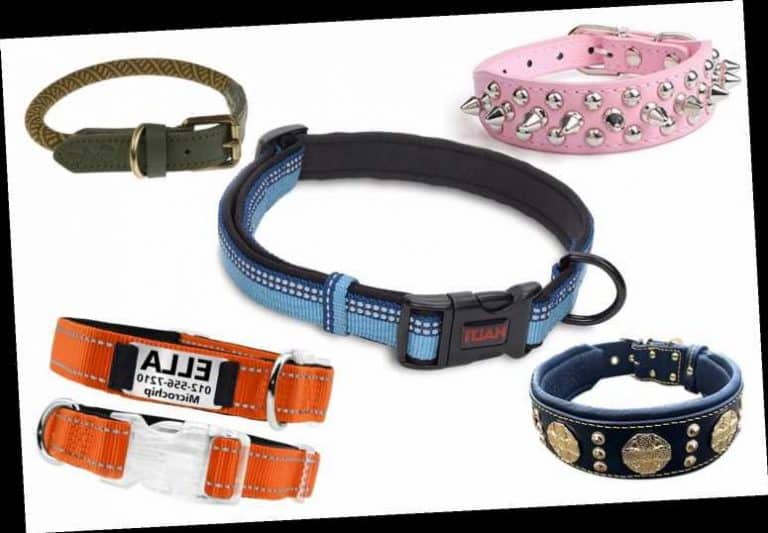 11 Dog Collar for Sensitive Skin