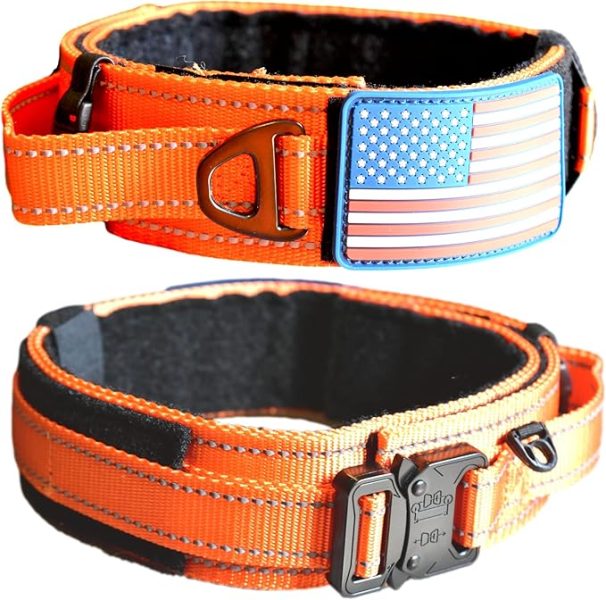 Dog Collar with Control Handle