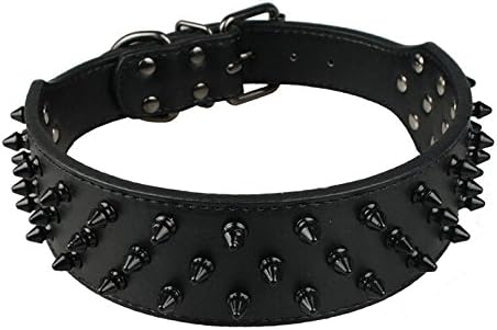 Dogs Kingdom Leather Black Spiked Studded Dog Collar