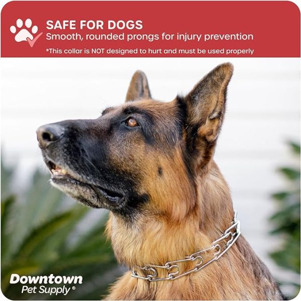 Downtown Pet Supply Chrome Plated:Nylon Prong Collar