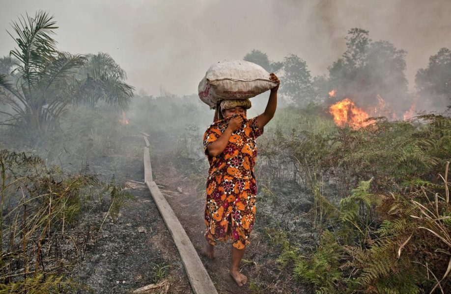 Effects of Deforestation on Humans