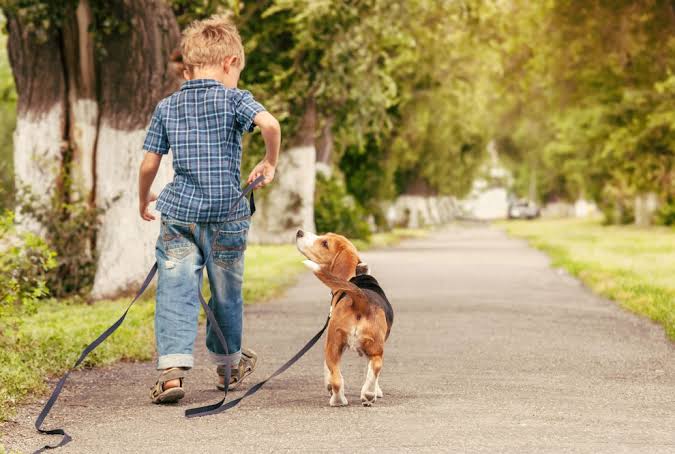 Exercise and Walks