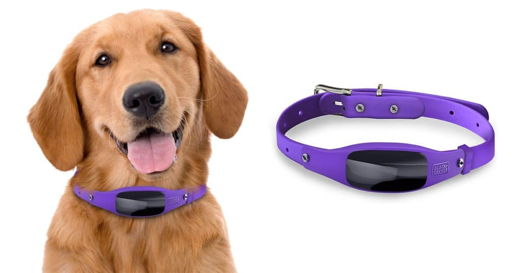 Features of Smart Dog Collar