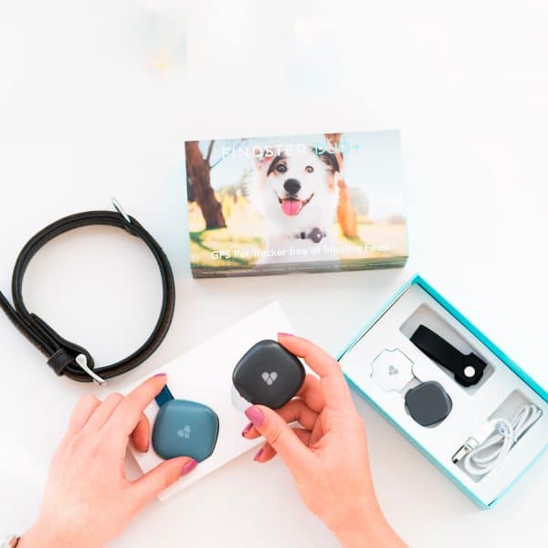 Findster Duo+ Pet Tracker