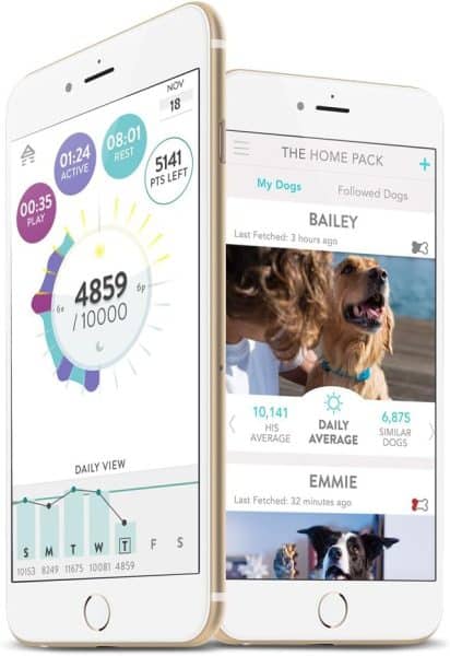 FitBark GPS Dog Tracker