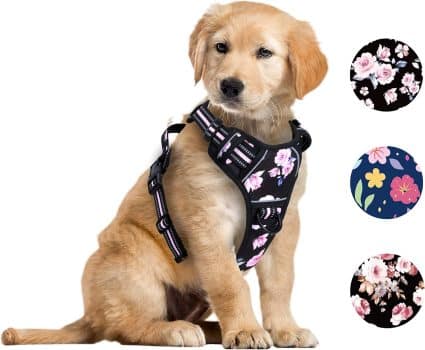 Foxyep No Pull Dog Vest Harness