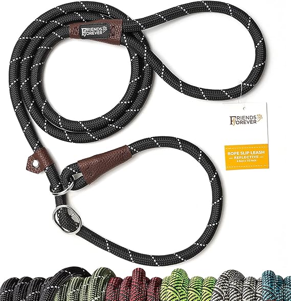 Friends Forever Dog Rope Leash