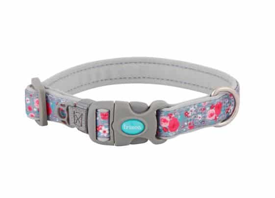 Frisco Patterned Neoprene Dog Collar