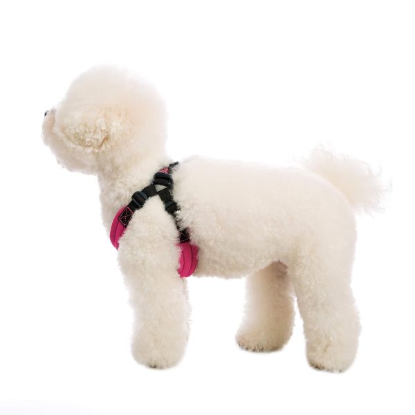 Gooby Escape Free Sport Harness