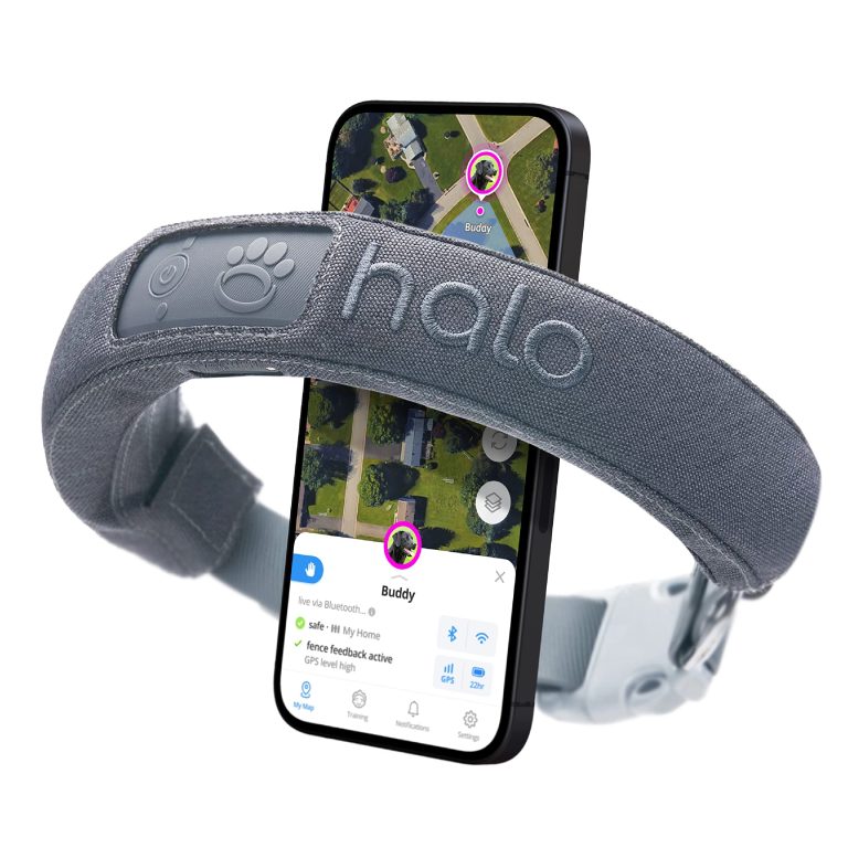 Halo Dog Collar: Review