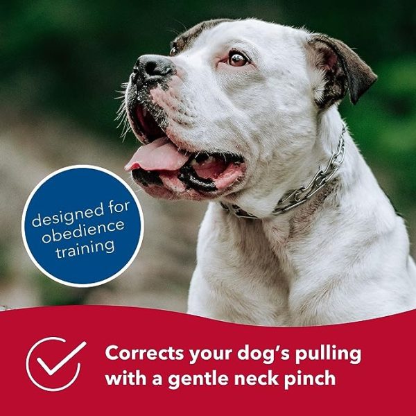 Herm SPRENGER Ultra-Plus Prong Dog Training Collar