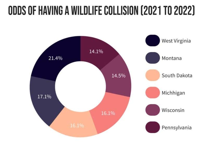 Highest Number of Deer Car Accidents for 12 Consecutive Years