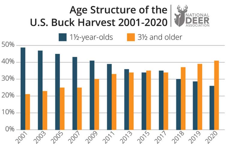 How Many Deer are Killed Each Year - Statistics on Deer Killing