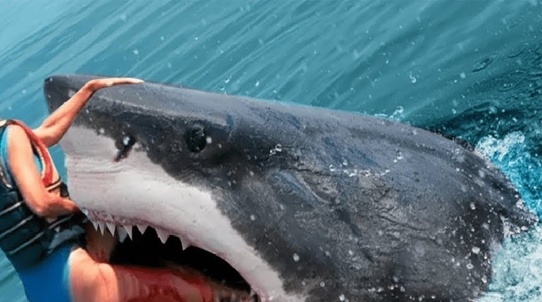 How Many Shark Attacks Are There Per Year?