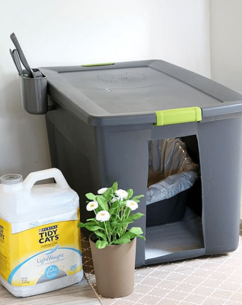 How to Make the Litter Box Smell Better and Less Messy