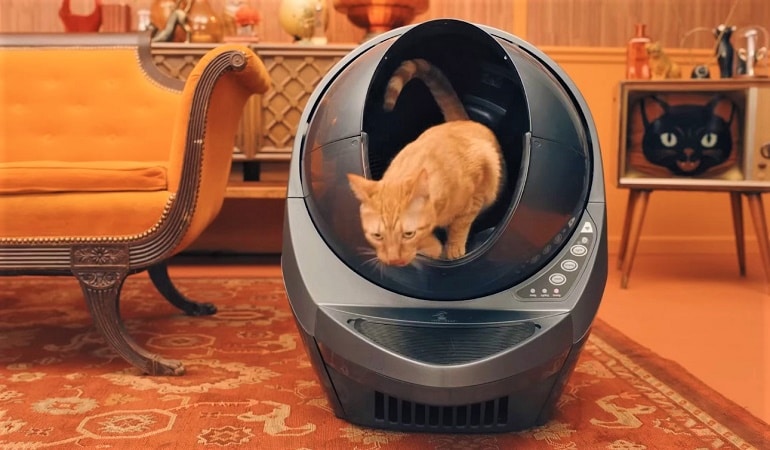 How to Pick the Best Litter for The Litter Robot