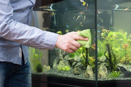 Male hand cleaning aquarium using microfiber towel.