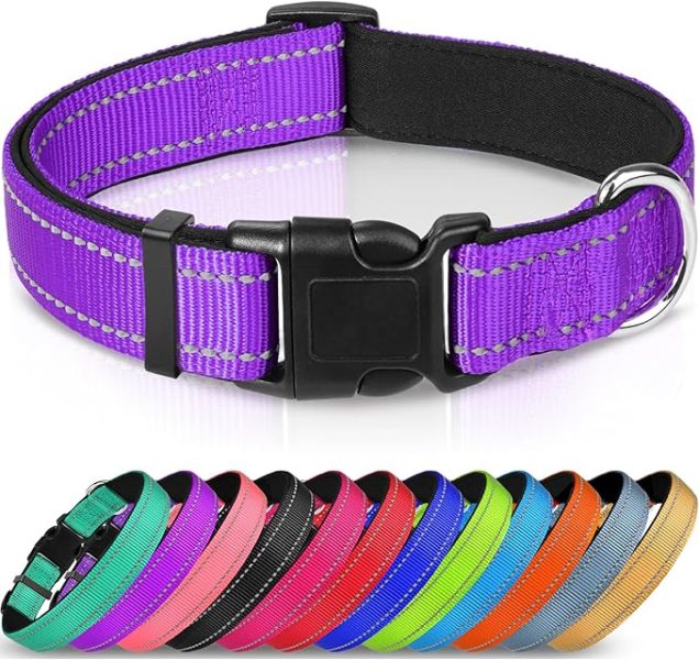 Joytale Reflective Dog Collar