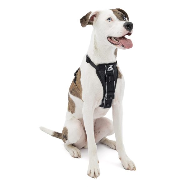 Kurgo Trufit Smart Harness