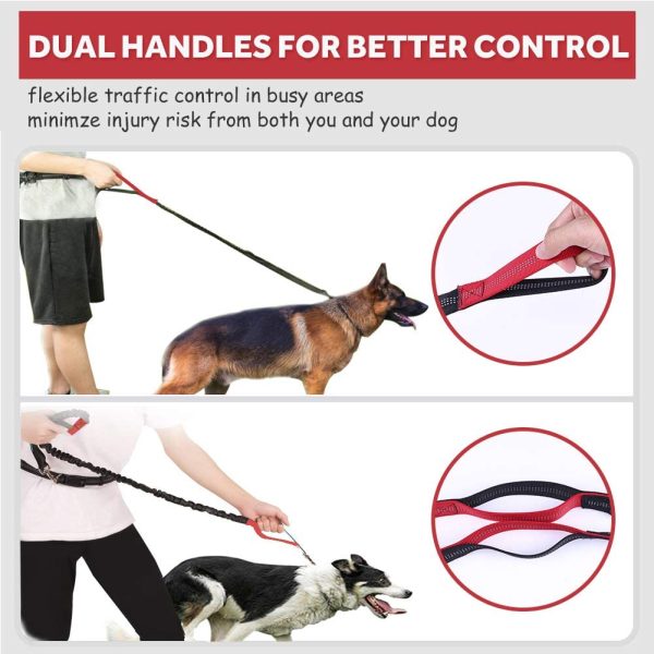 LANNEY Hands Free Dog Leash