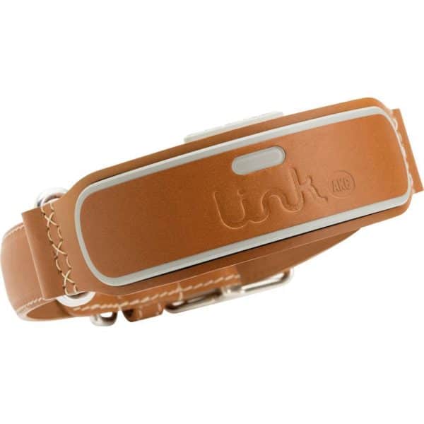 LINK AKC Smart Dog Collar