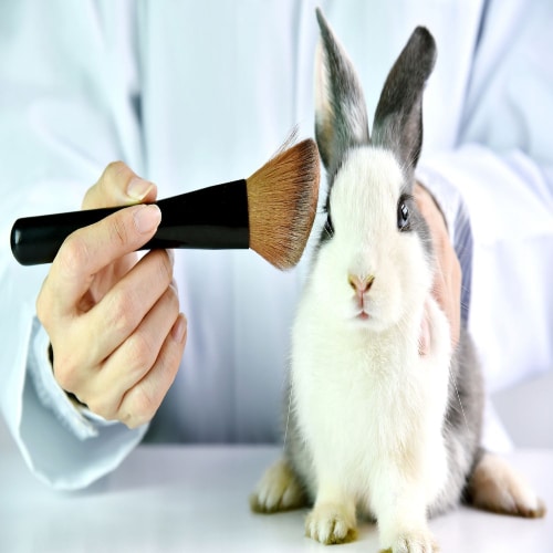 Latest Brands that Test on Animals