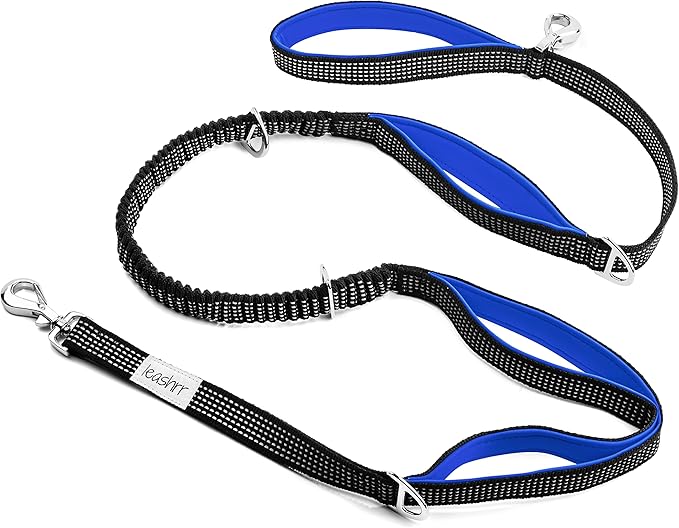 Leashrr Dog Leash with No-Pull