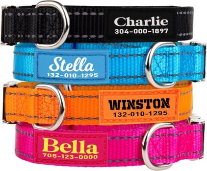 PAWBLEFY Personalized Dog Collars