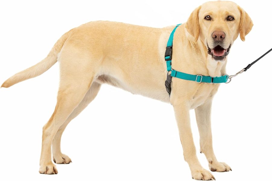 PetSafe Easy Walk No-Pull Harness