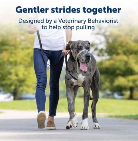 PetSafe Gentle Leader Pull Dog Headcollar