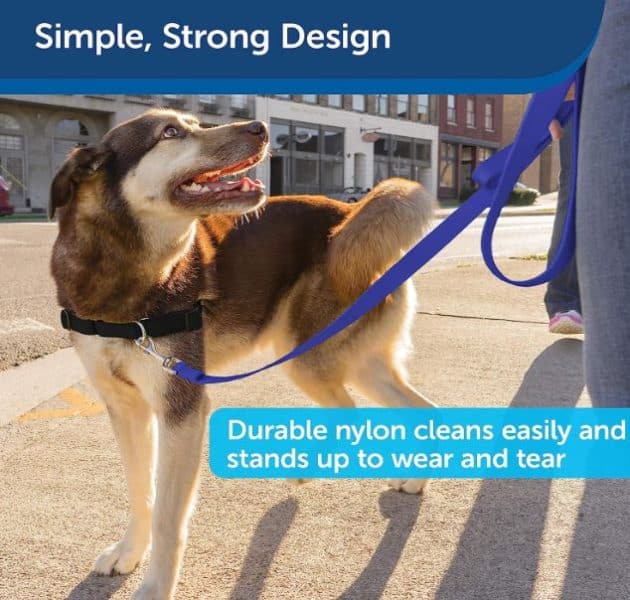 PetSafe Nylon Dog Leash