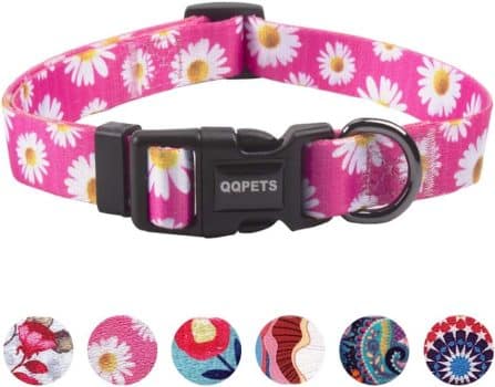 QQPETS Adjustable Soft Dog Collar