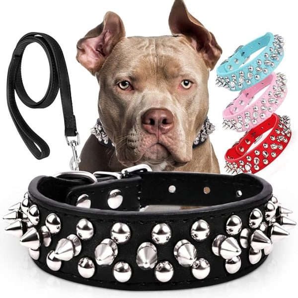 Spiked Studded Leather Dog Collar for Pit Bull