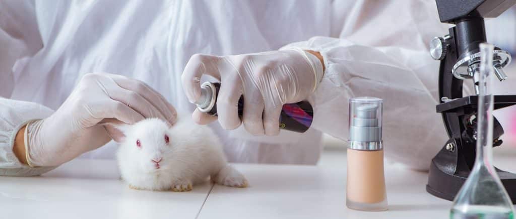 History of Testing Makeup on Animals