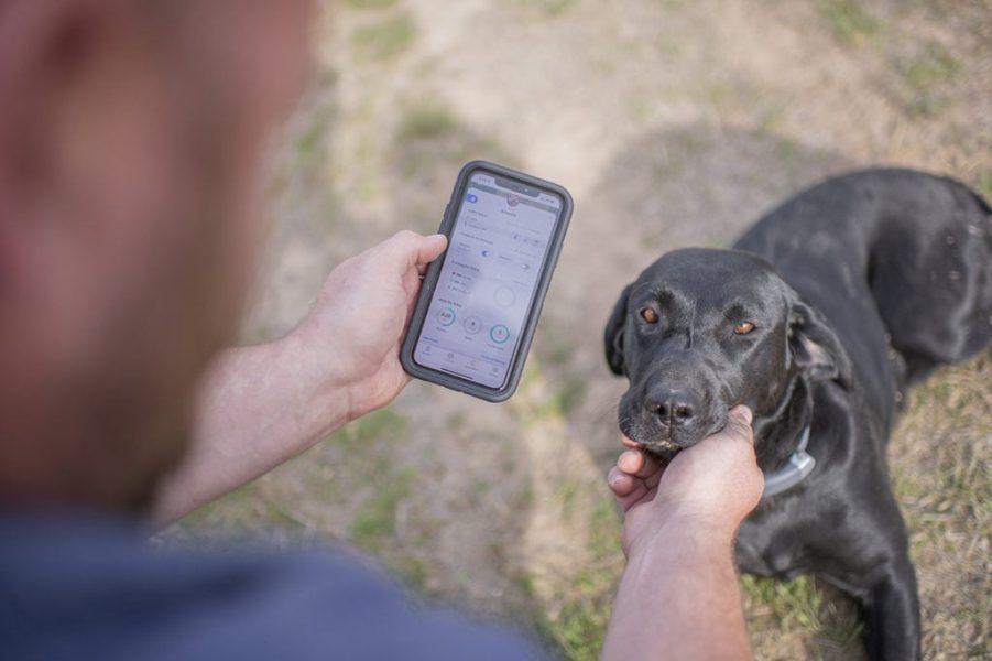 Tracking and Monitoring